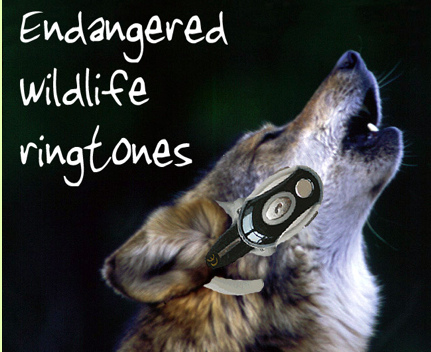 picture of endangered species ringtone campaign