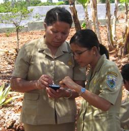 Health department staff from West Timor learning mobile field data collection tools.
